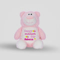 Cubbyford Pink Teddie Cubbie