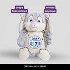 Clovis Bunny Grey Teddie Cubbie