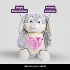 Clovis Bunny Grey Teddie Cubbie