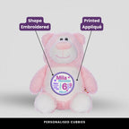 Cubbyford Pink Teddie Cubbie