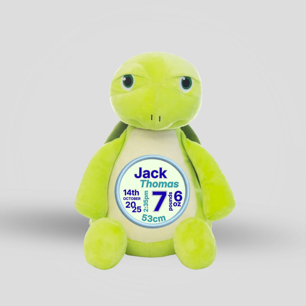 Mr Shigglesworth Turtle Teddie Cubbie