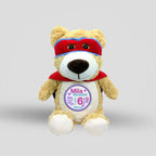 Superhero Teddie Cubbie