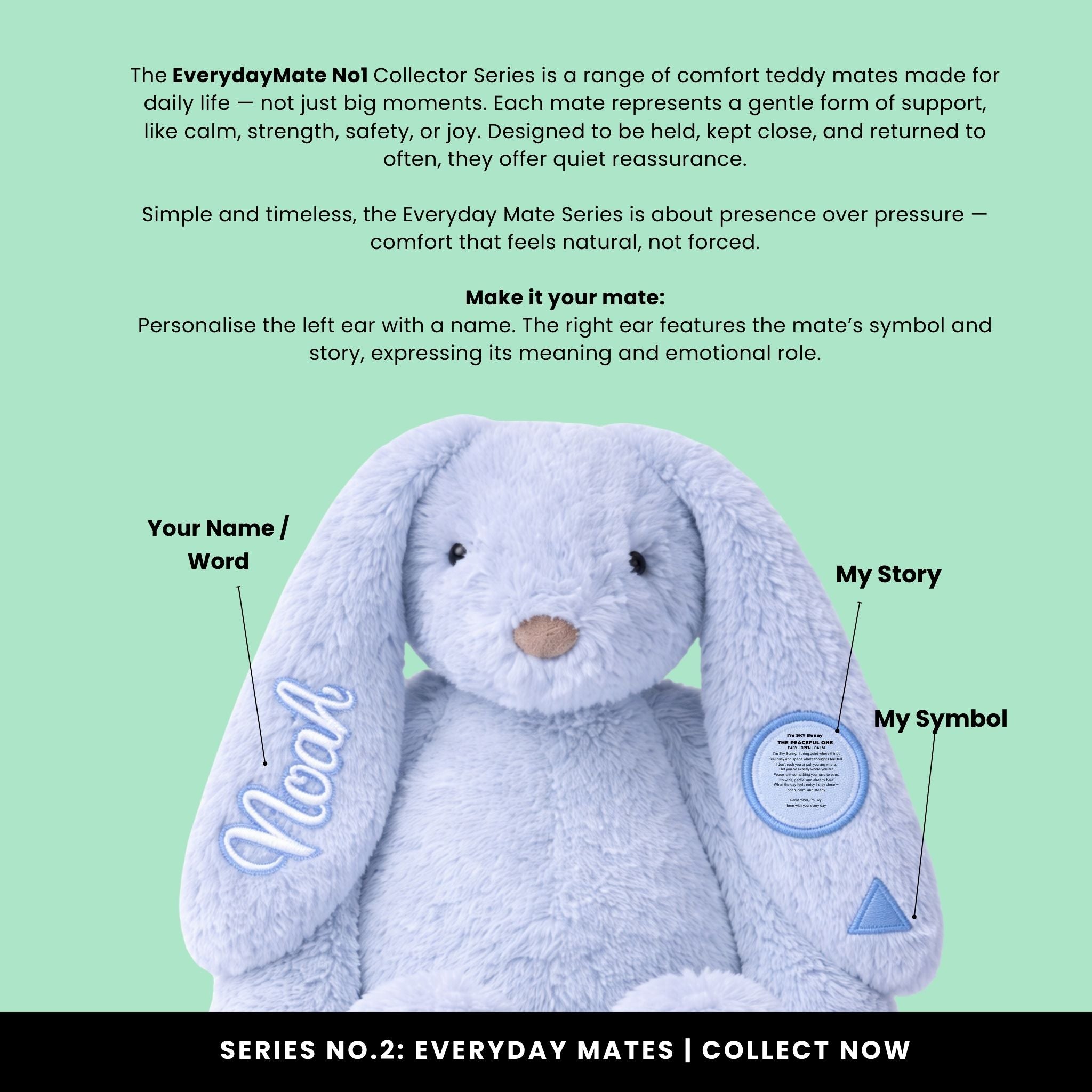 I'm THEO Bunny - THE STEADY ONE - Send.A Mate!